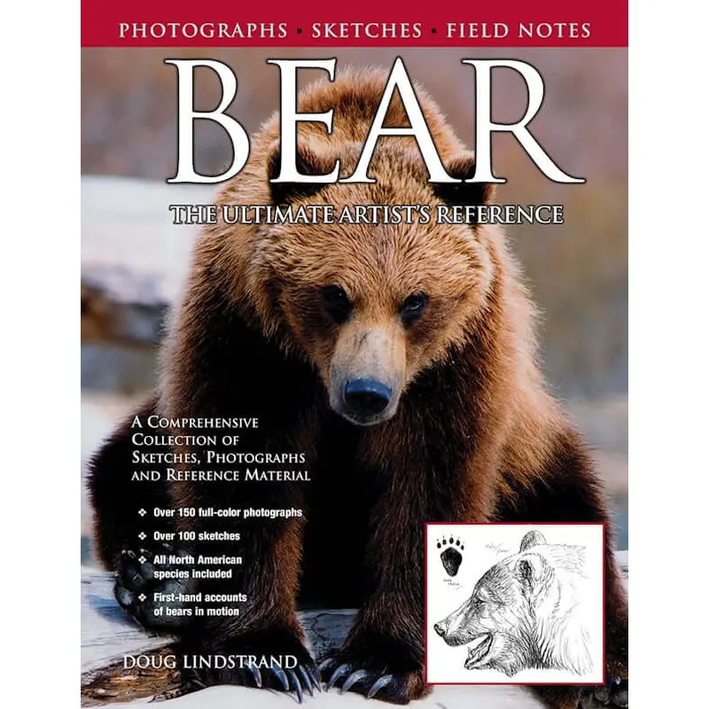 Bear: The Ultimate Artist's Reference