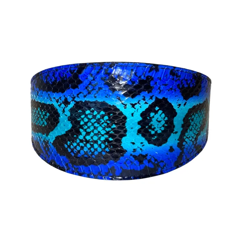 Electric/Turquoise Blue & Black 3 Wide Style Collar