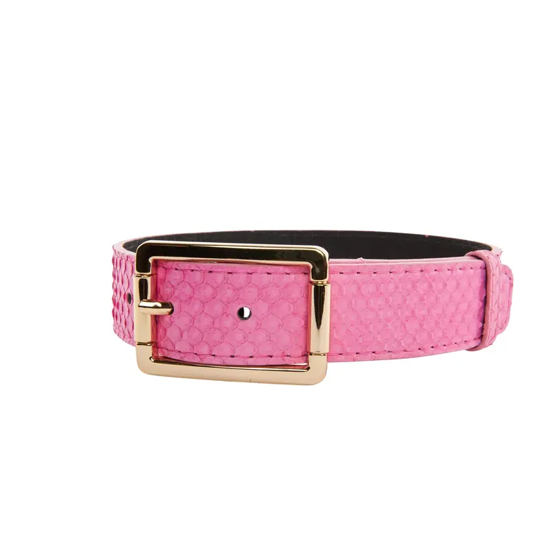 Luxury Pet Fashion Neon Pink Snake Collar With Our  Modern Gold Hardware