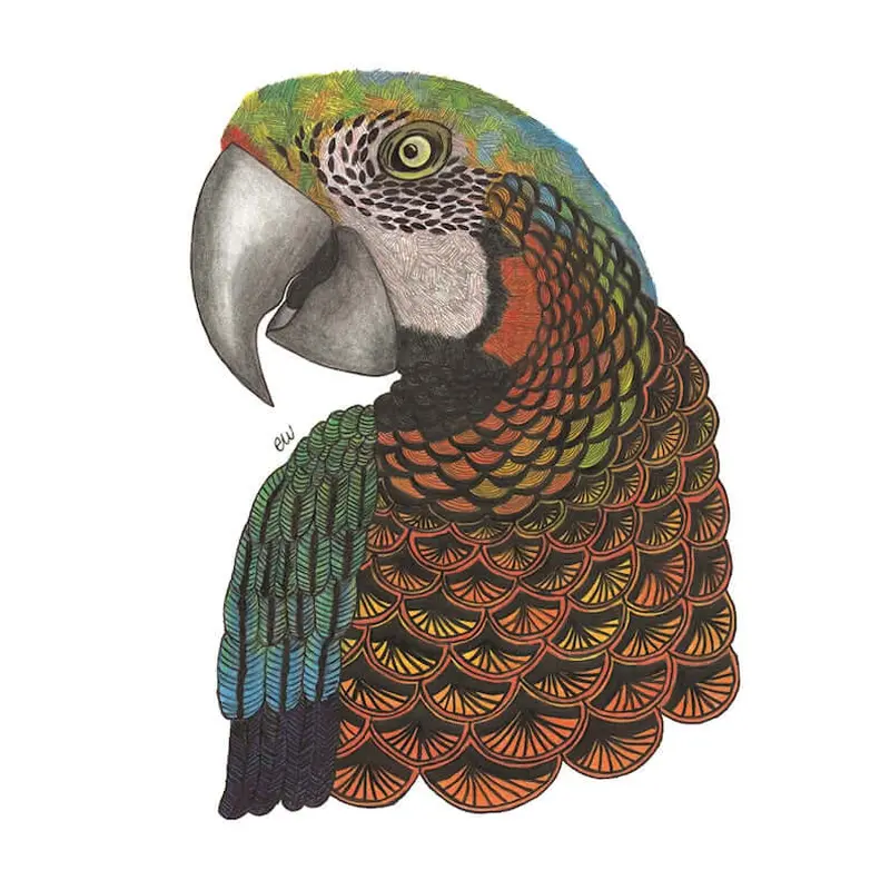 TangleEasy Lined Journal Parrot