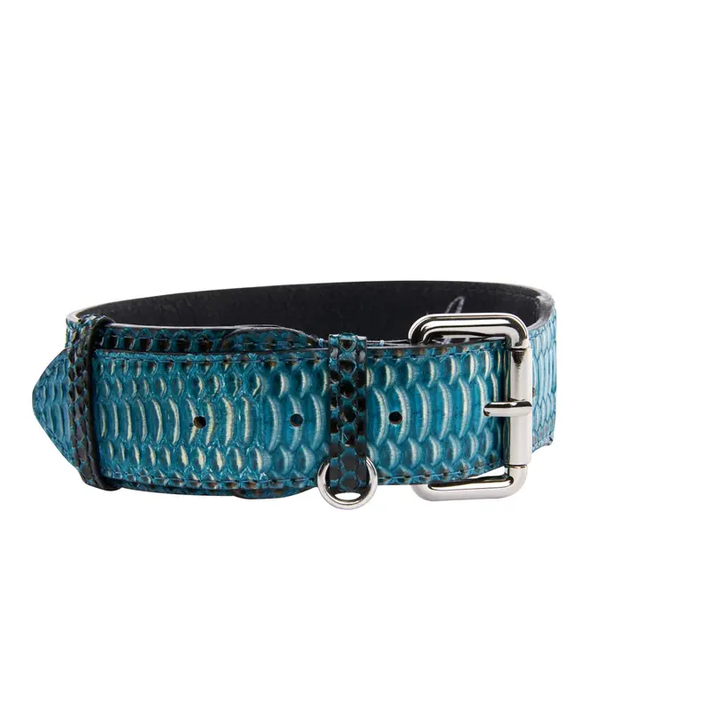 Turquoise, Black Snake Classic Collar With Silver Classic Hardware