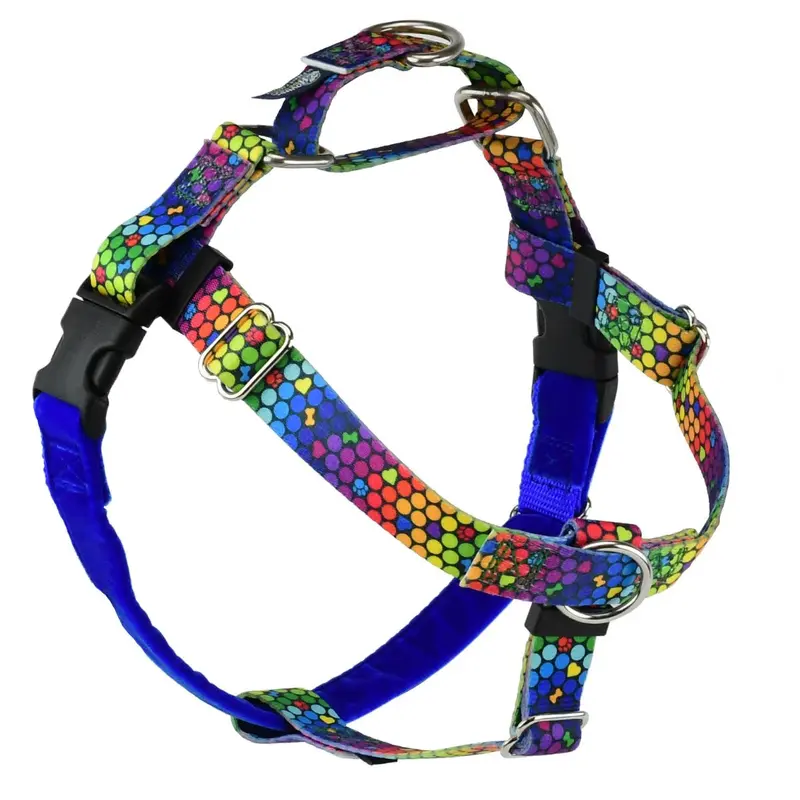 2 Hounds Design Freedom No-Pull Dog Harness - Large 1" x 28-32" - Roy G Biv