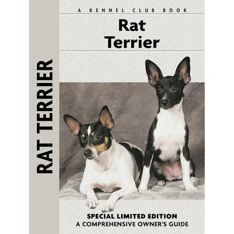 Rat Terrier (PB)
