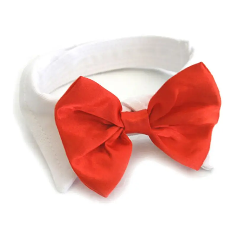 Red Satin Bowtie w/ White Cotton Collar