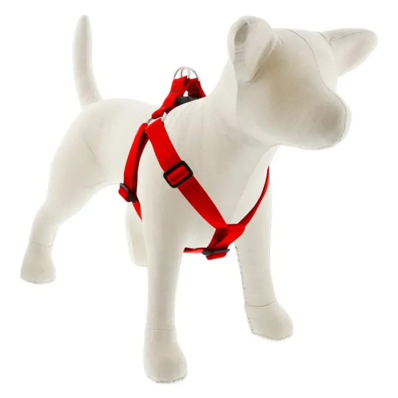 Lupine Pet Dog 1 In Wide 19-28 In Step  In Harness Basics Red