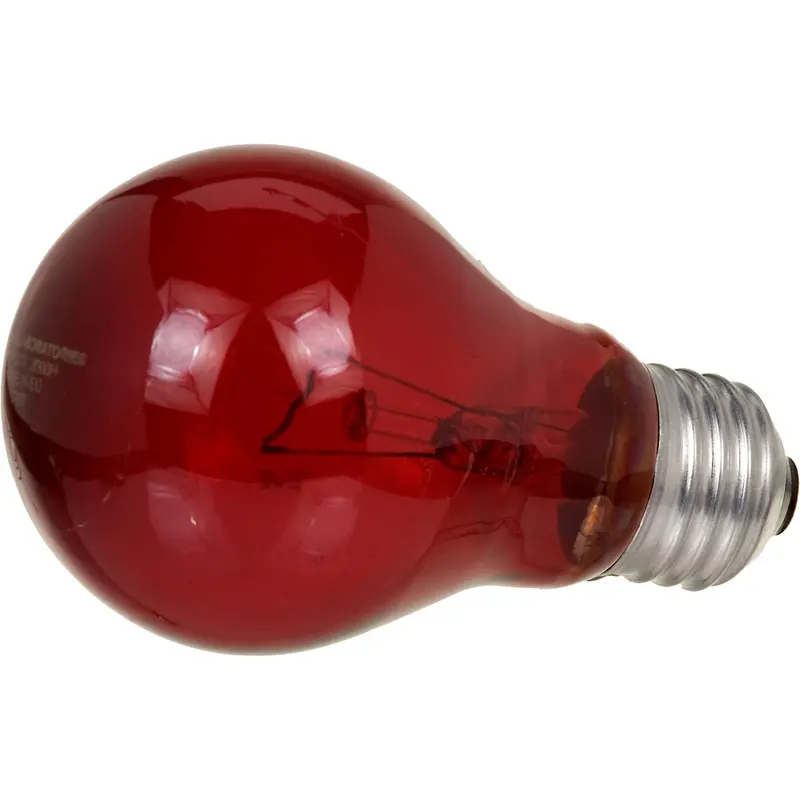 Zoo Med Laboratories Nightlight Red 40 Watt Reptile Bulb