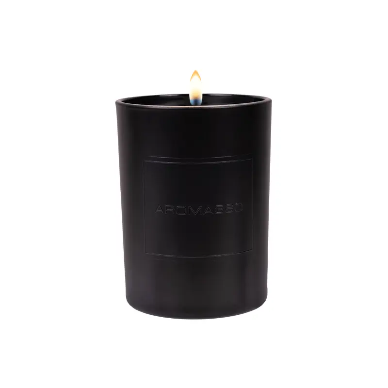 Midnight in Paris Single-Wick Candle