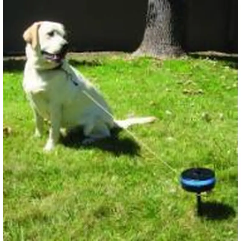 Lixit Retractable In-ground Cable Tie Out -medium dogs 25-80 lbs