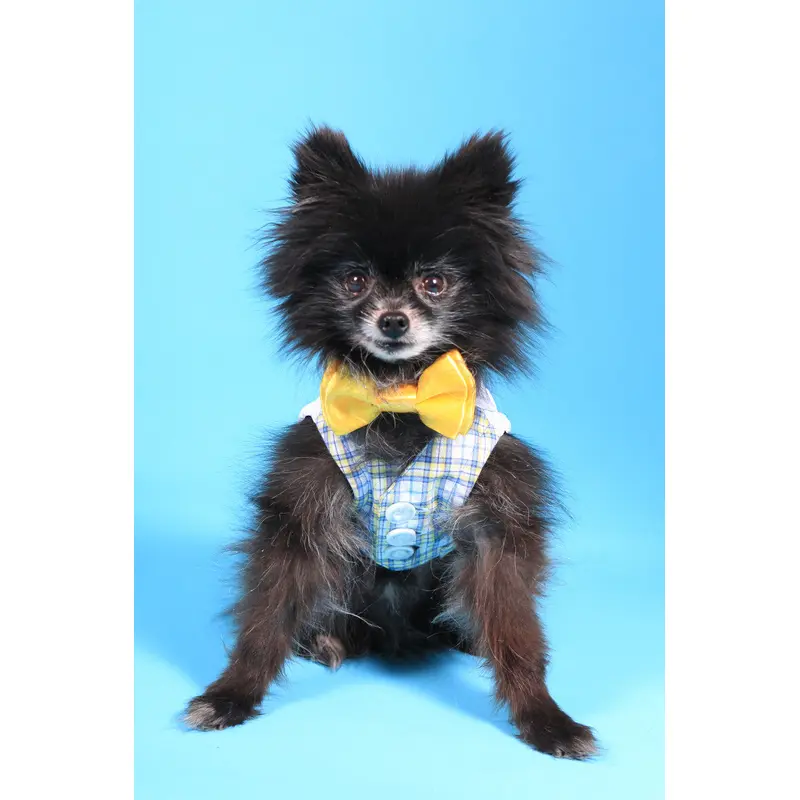 The Lawrence Blue Plaid Vest