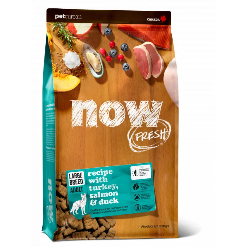 Petcurean Now! Fresh Grain Free Large Breed Adult Dry Dog Food