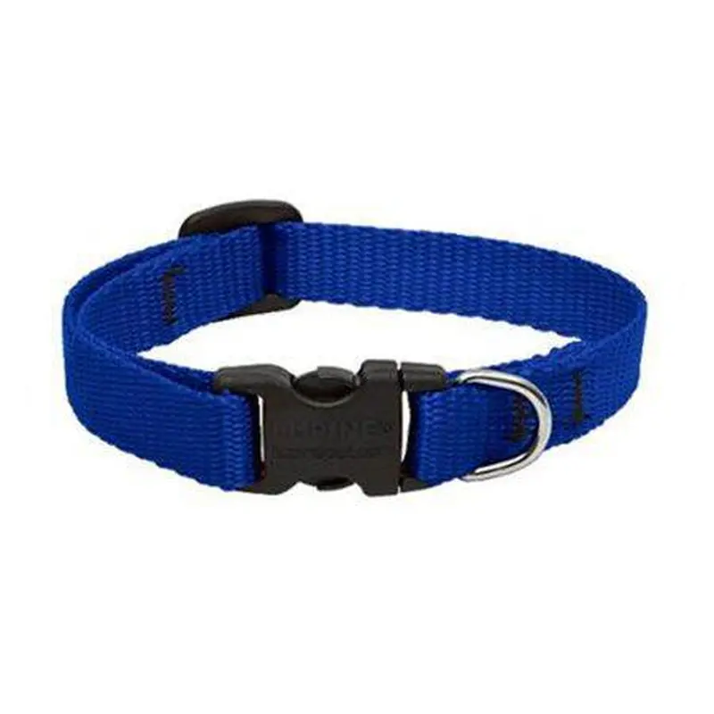 Lupine Collar 10-16 Adj Blue