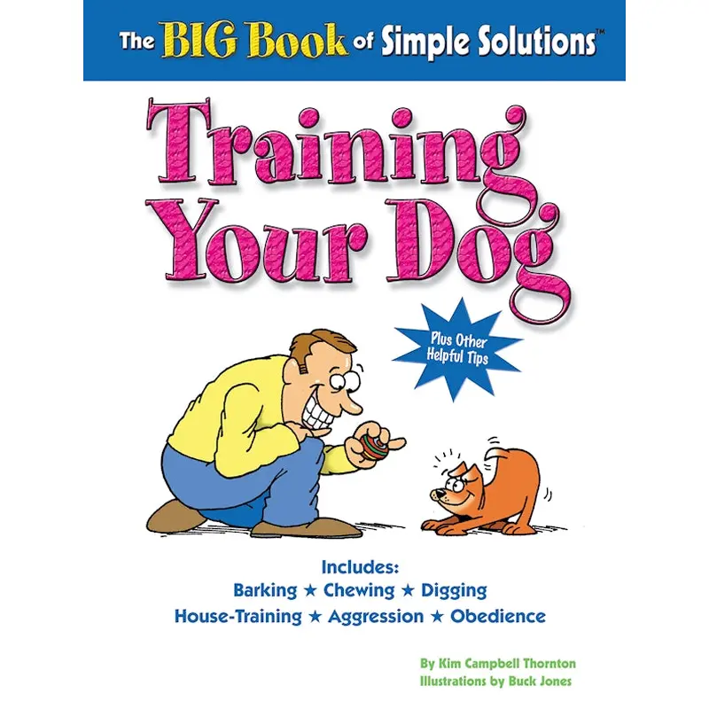 The Big Book of Simple Solutions