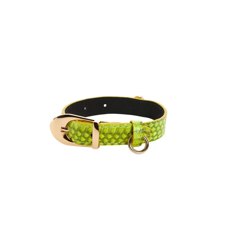 XS Light Neon Green Snake Collar With Gold Vintage Inspired Italian Hardware