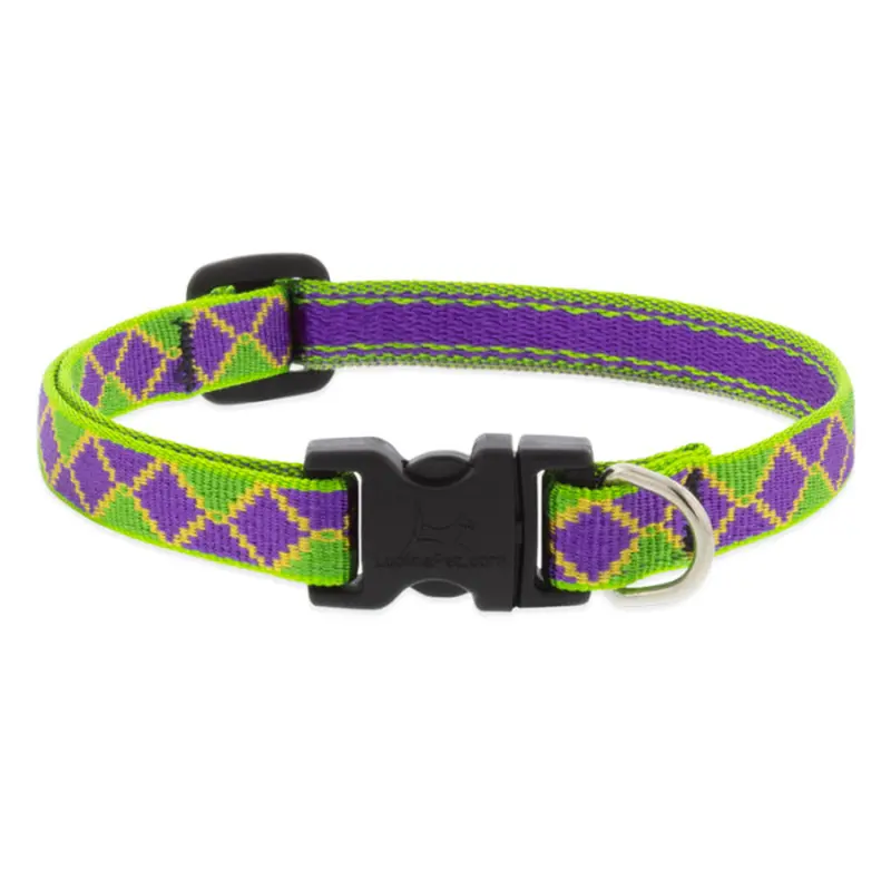 LUPINE MicroBatch Dog Collar 1/2" Wide 10"-16" Neck Size Jester
