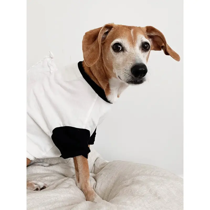 Classique Baseball Tee