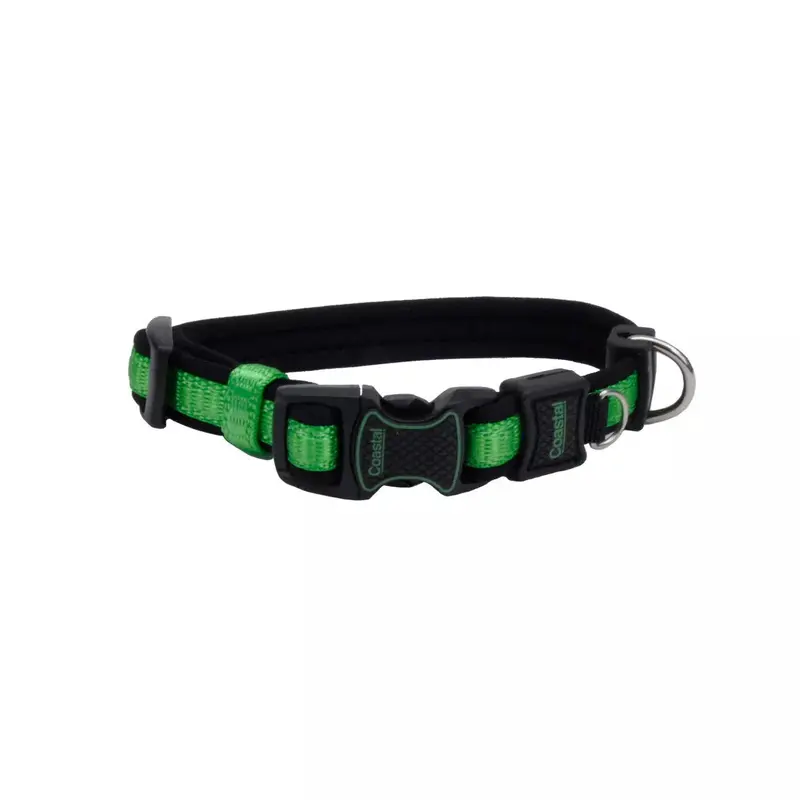 Coastal Inspire 1in Wide 14-20in Dog Collar Green