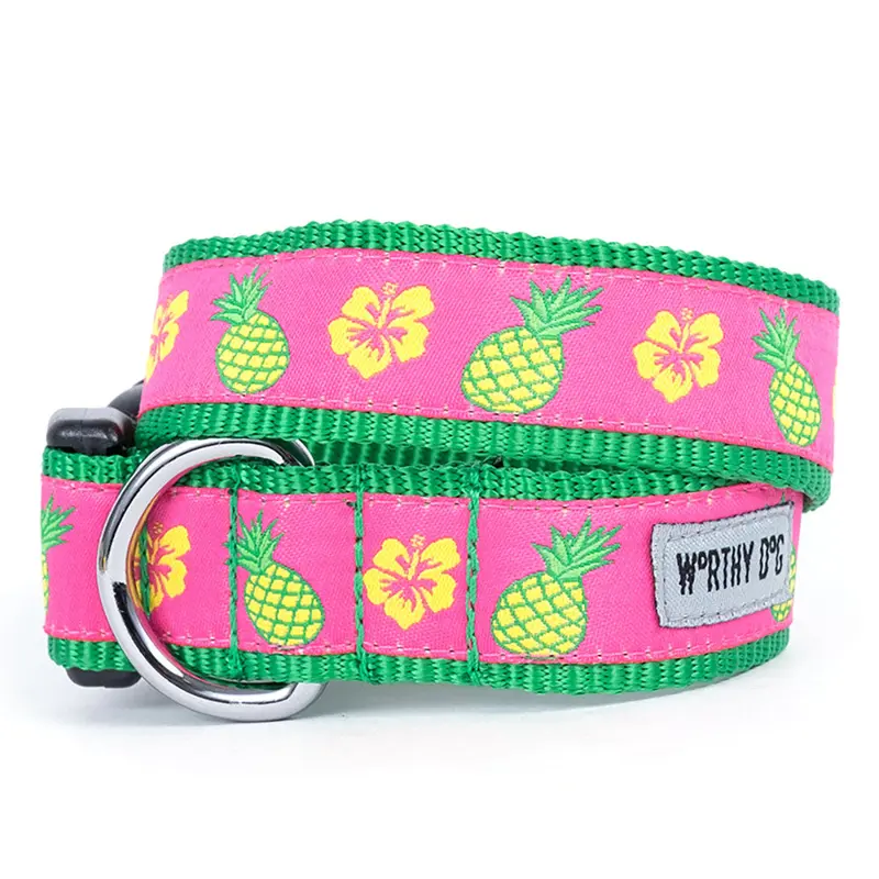 Pineapples Collar & Lead Collection