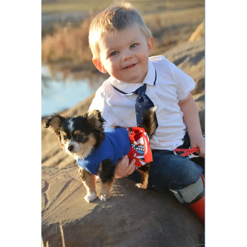 Sailboats Boxer Shorts for Dogs