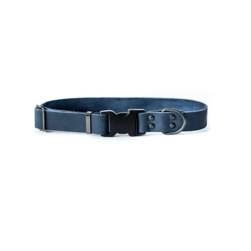 Sport Style Blue Jeans Leather Dog Collar