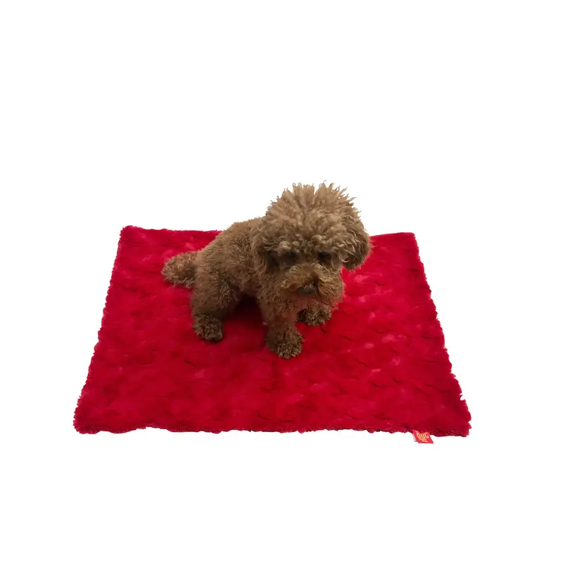 Blanket, Bella Red