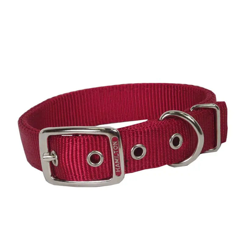 Hamilton Classic Single Thick Buckle Collars, Medium
