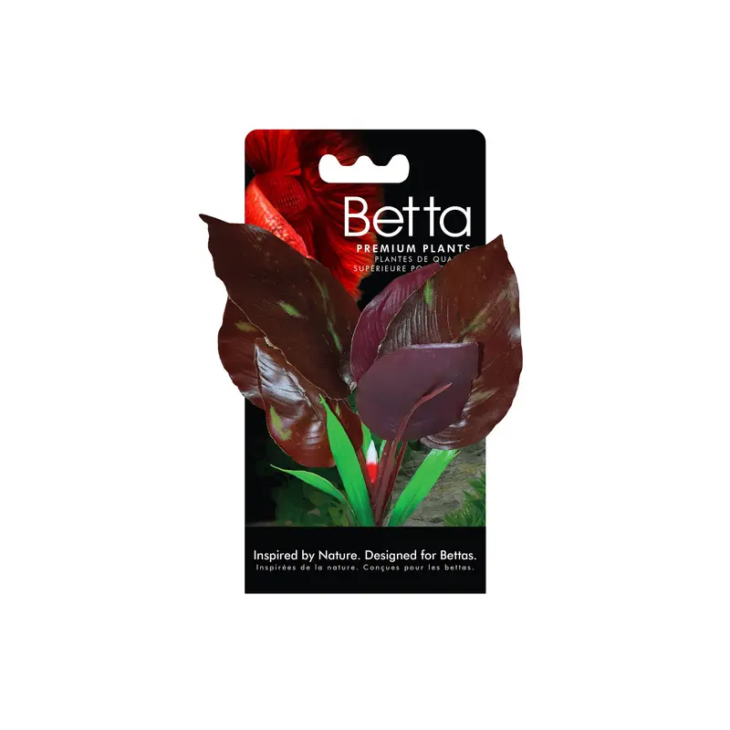 Fluval Betta Red Lizard Plant 6 in