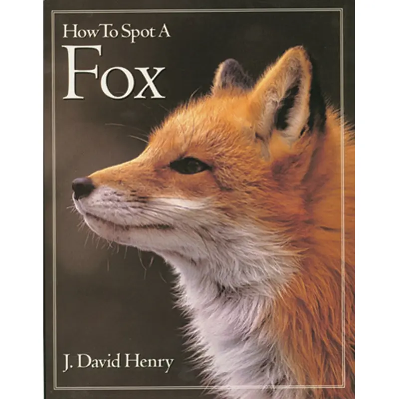 How to Spot A Fox