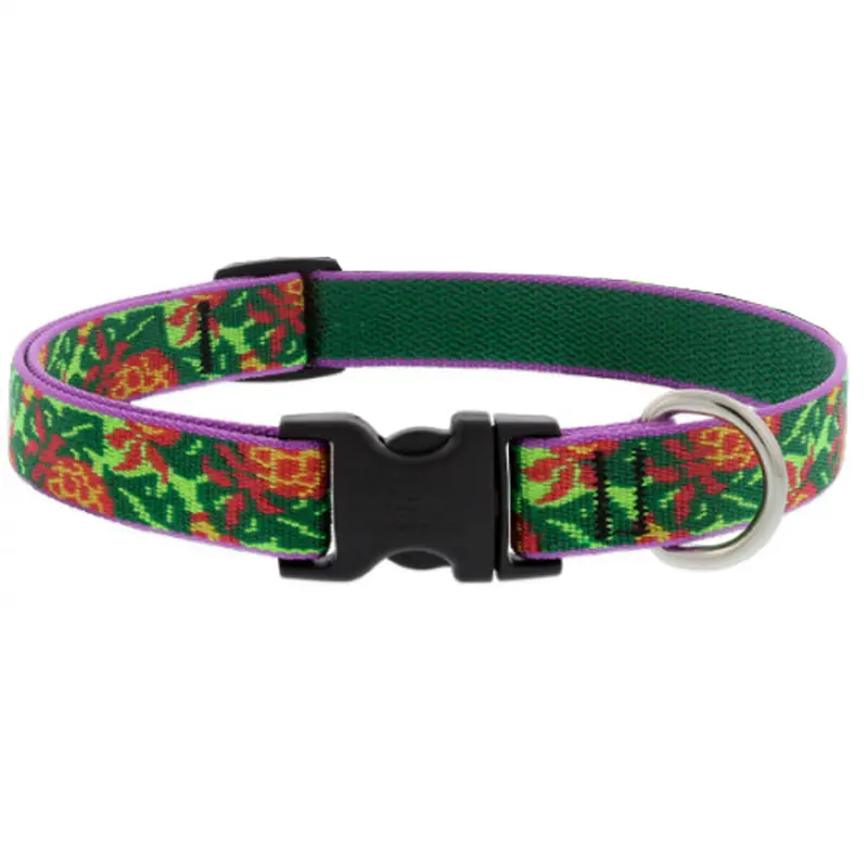 Lupine Adjustable Dog Collar 3/4" Wide x 15"-25" Pina Colada