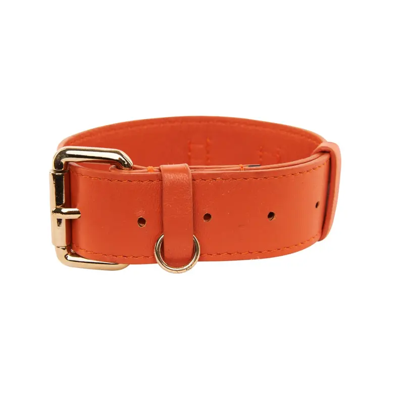 Small Orange Italian Leather Classic Collar