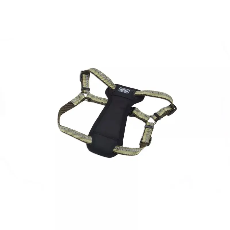 Coastal K9 Explorer Reflective Adjustable 5/8in Wide 12-18in Padded Dog Harness Fern