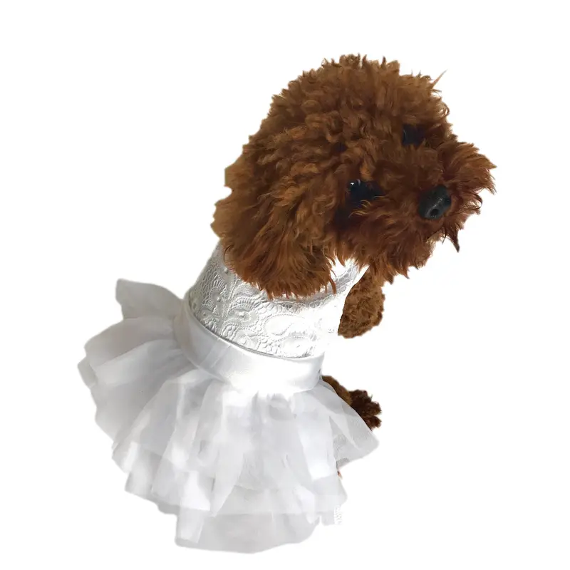 Fufu Tutu, White Wedding