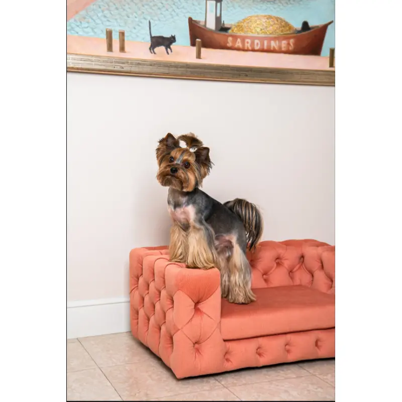 The Glamour Luxury Pet Bed in Pink