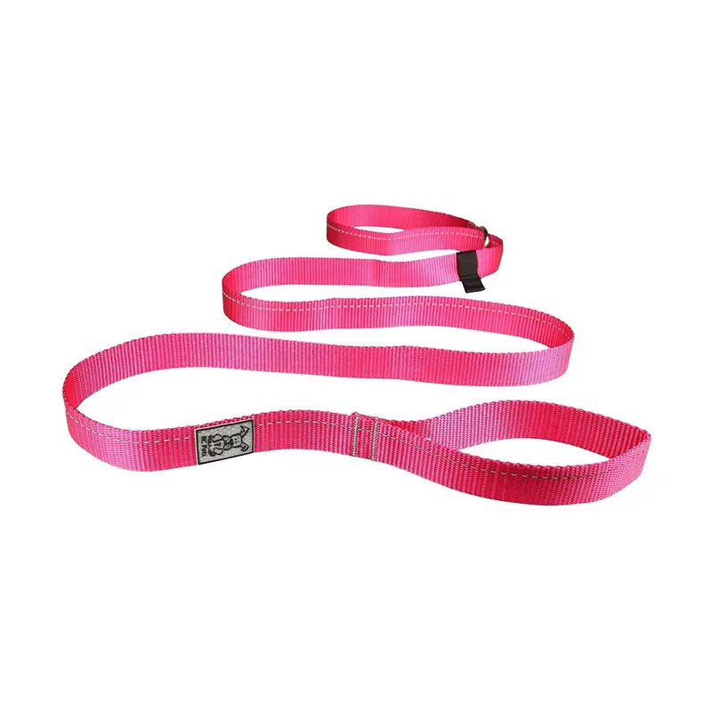 RC Pets Primary Dog Leash 3/4" Raspberry
