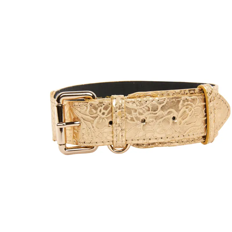 Gold Floral Print Italian Leather With Gold Classic Collar Hardware
