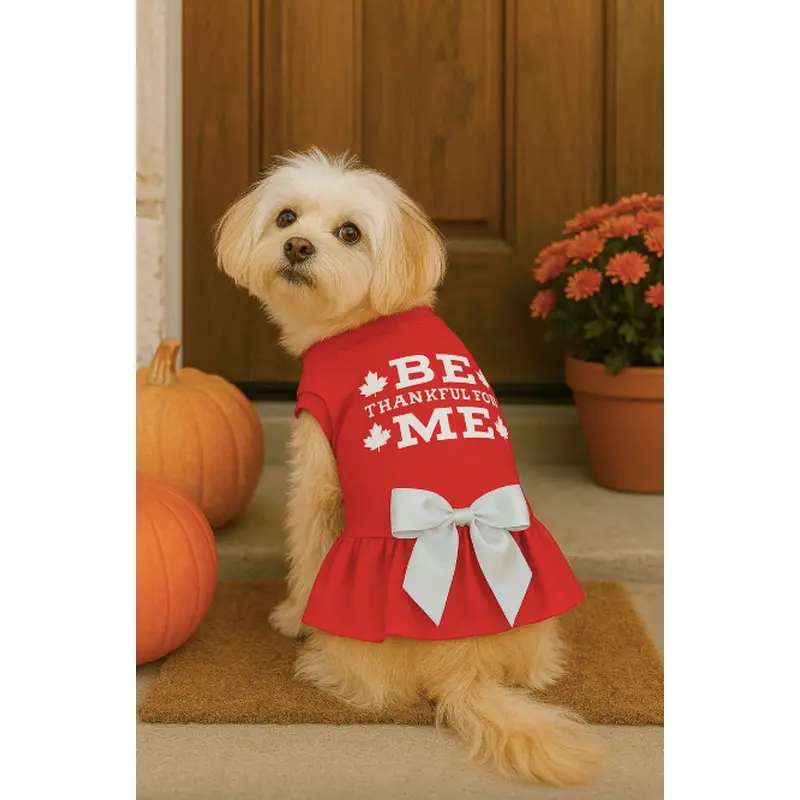Be Thankful for Me Harvest Ruffle Dress